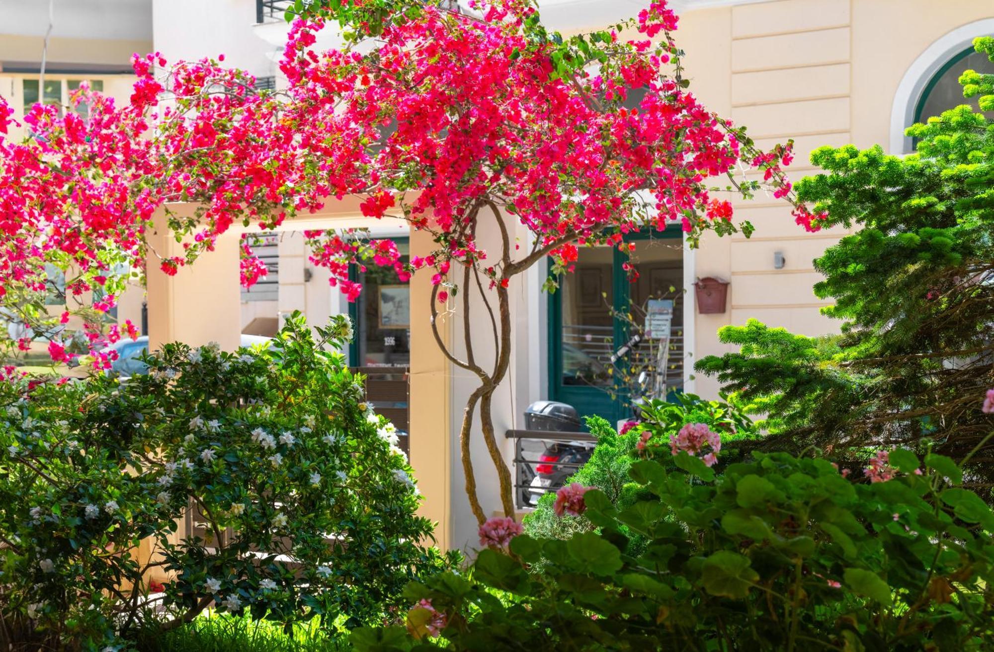 Myrto1 Apartment Preveza Exterior photo